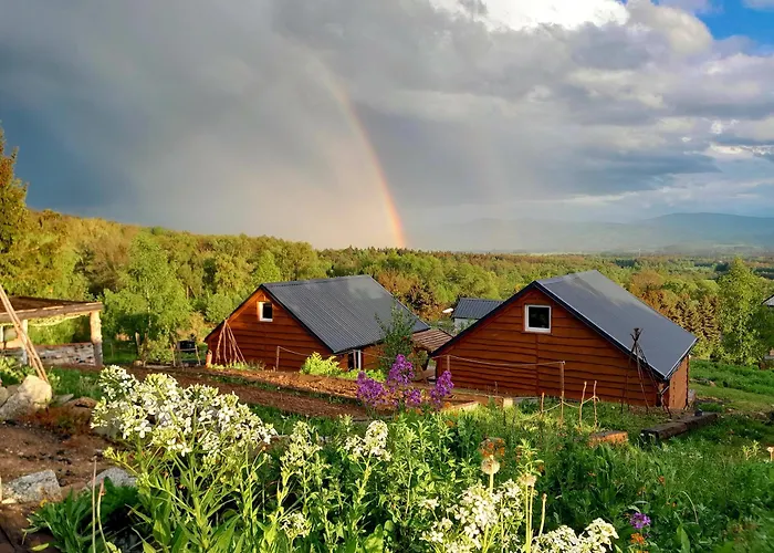 Sunset Holidays - Boska Nora